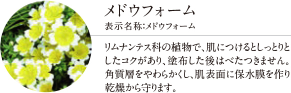 セルペネ ジェルバーム - 製品紹介 | 株式会社アトコントロール