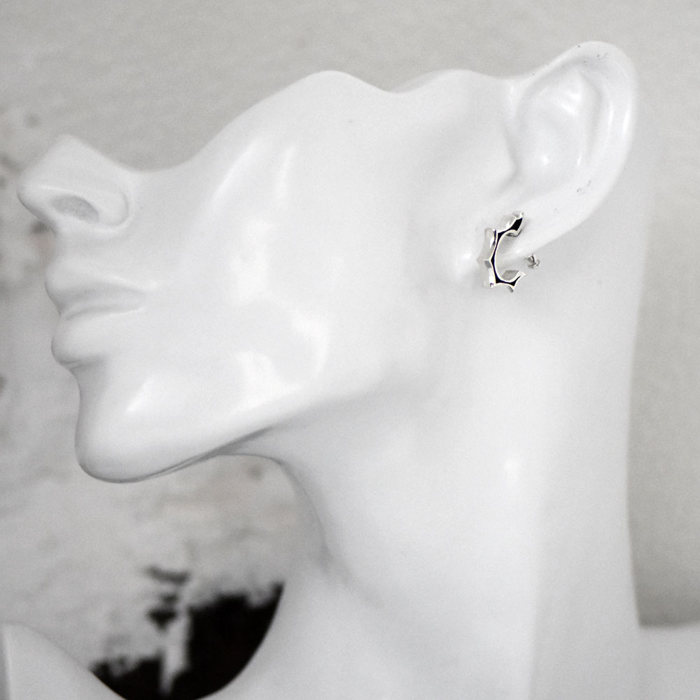 氷牙 デザイン シルバー925 ピアス【cooldust | クールダスト】cooldust