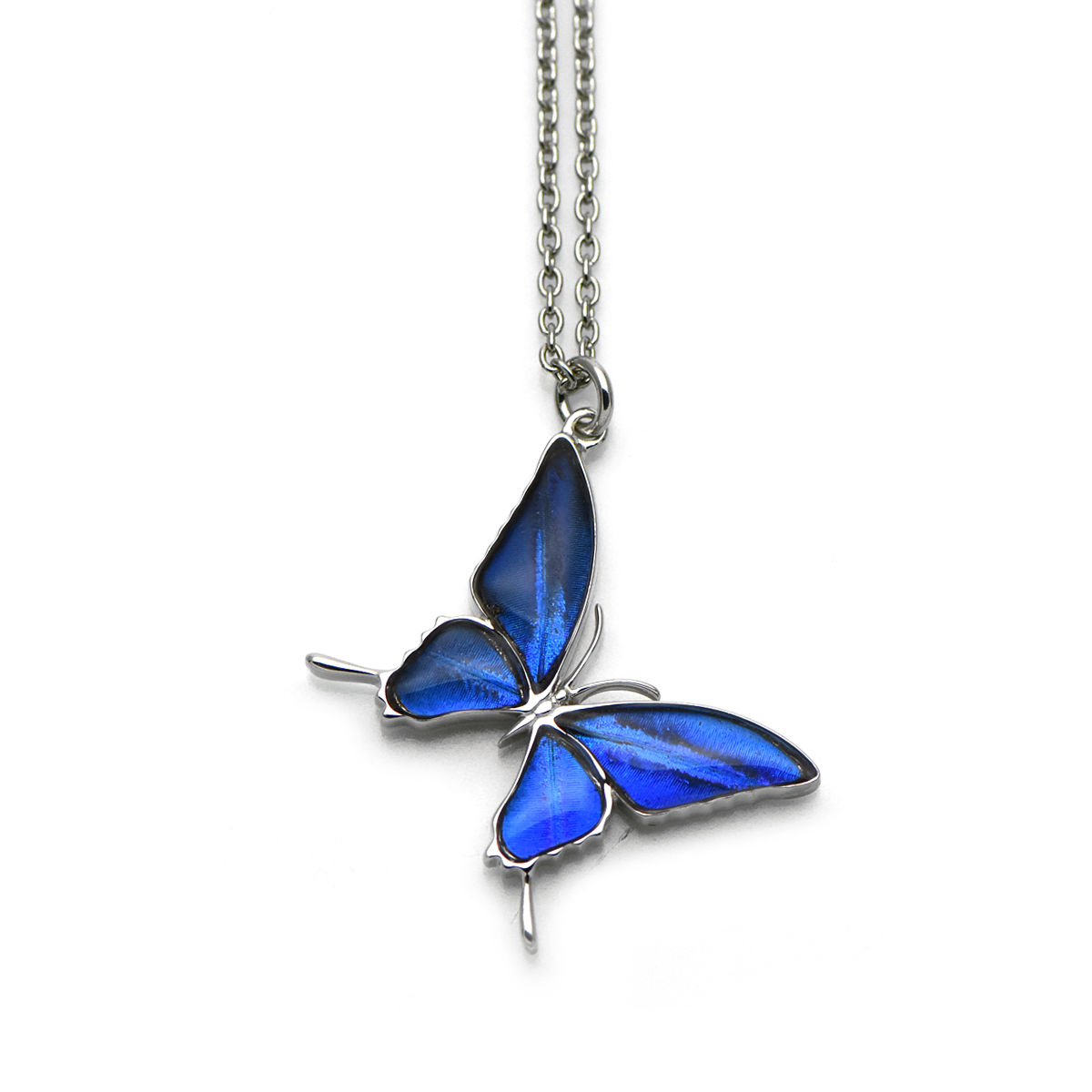 カキカモルフォ 蝶の翅 シルバー925 ペンダント ネックレス【Psyche