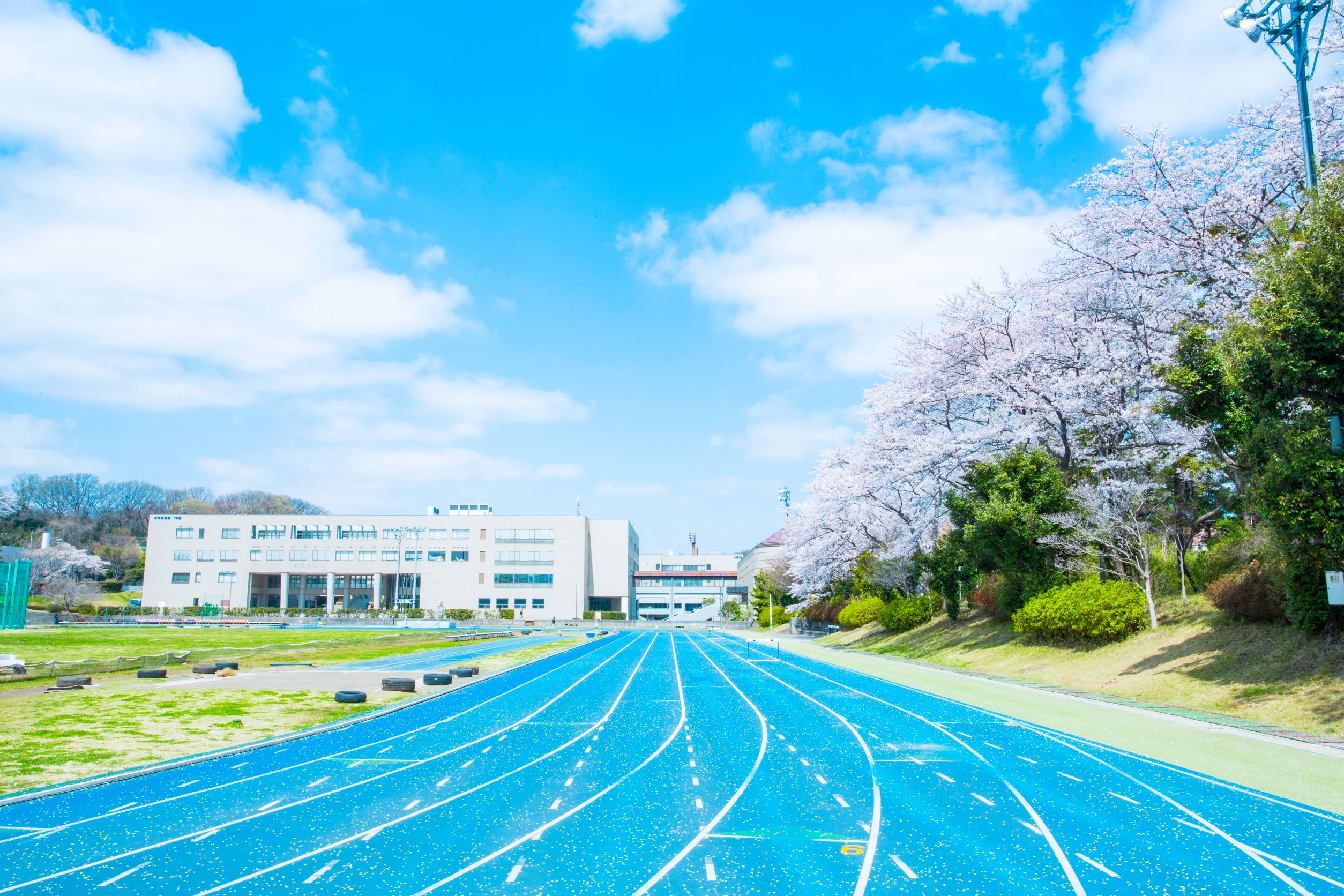 日本体育大学｜大学紹介｜スポーツ推薦・スポーツの進路選択の総合情報