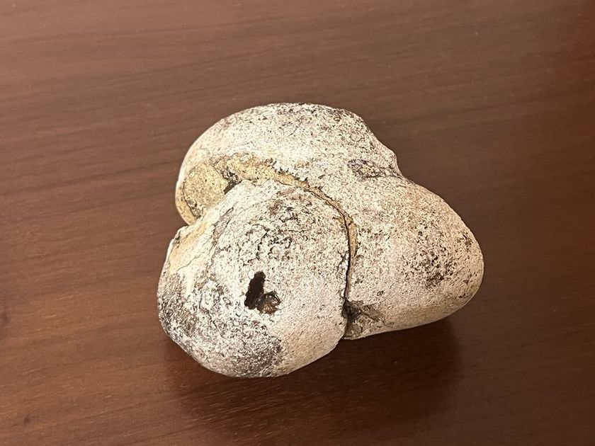 小売価格が国内最高値(※)の442万円！ 紀元前から伝わる希少な香料「龍