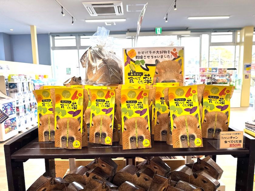 カピバラの大好物の野菜をそのまま乾燥 赤ちゃん誕生で話題の竹島