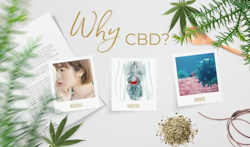 BLOOM by Young Living」からブライトケアラインの 新製品3品を10月1日