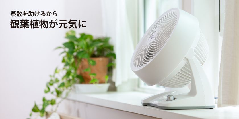 冬も活躍！ボルネードのサーキュレーター＞ 無段階変速の中型タイプ