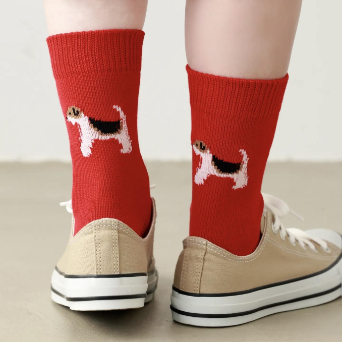 Friendly Dog🐕を履いて散歩しませんか？｜靴下屋｜アトレヴィ大塚 -atre-