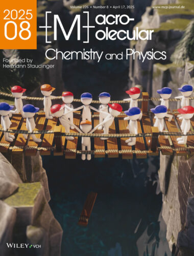論文雑誌「Macromolecular Chemistry and Physics」のカバーピクチャー