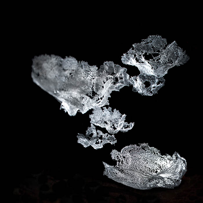 富山ガラス大賞展2024 | 富山市ガラス美術館 | 美術館・展覧会情報