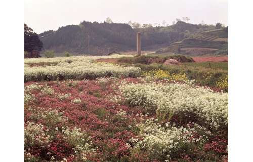 開館25周年記念 入江泰吉 菊池寛賞受賞作品展～『古色大和路』『萬葉