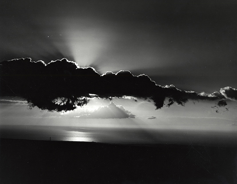 Fifty Works by Photographer Brett Weston Donated to the Block Museum