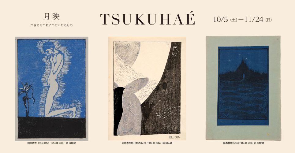 月映 つきてるつちにつどいたるもの - 和歌山県立近代美術館 - ART iT