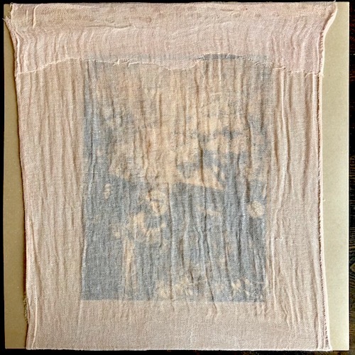 Takumi Akaishi / 赤石拓海 