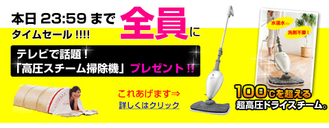 口コミと仕様詳細 - ゲルマドーム