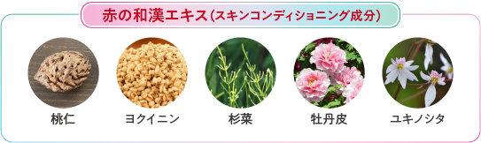 SP】保湿成分＆水分をたっぷり補給｜アザレ化粧品【公式サイト】-AZARE