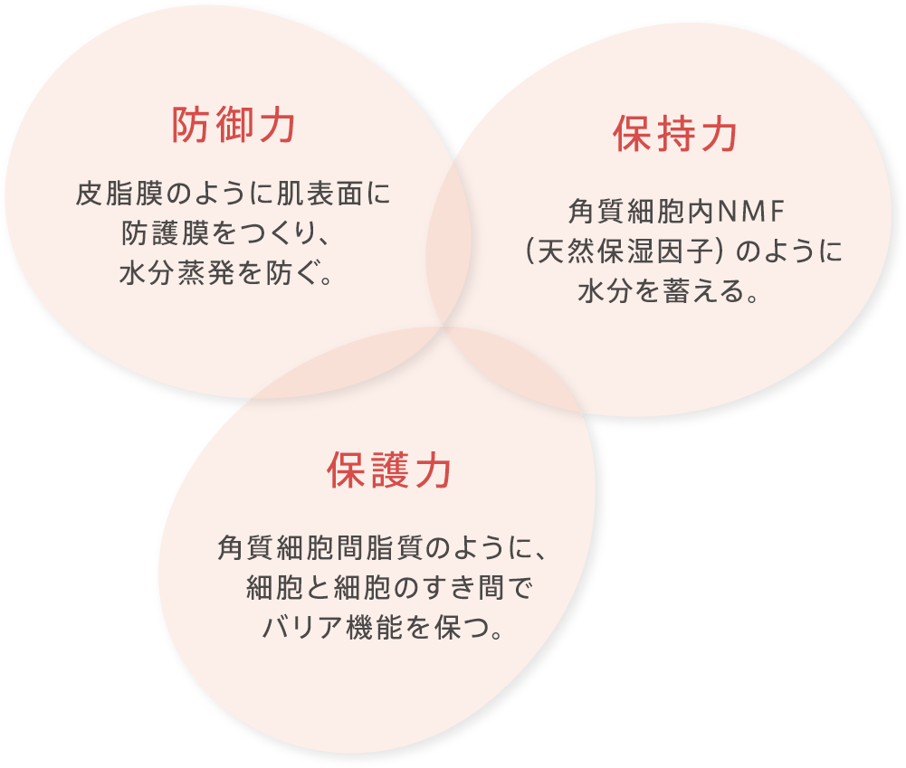 プランツC｜製品特集｜アザレ化粧品