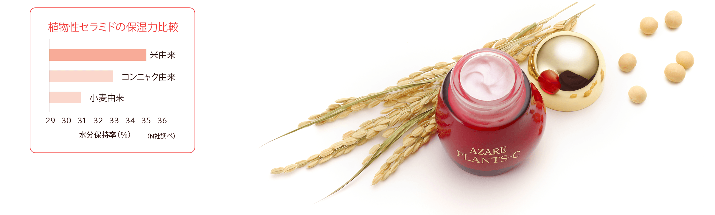 プランツC｜製品特集｜アザレ化粧品