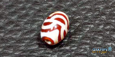 蓮花天珠 蓮華天珠 | チベット天珠専門店 awjp