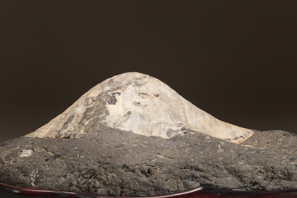 安倍川富士型石 | 雨竹亭オンラインショップ