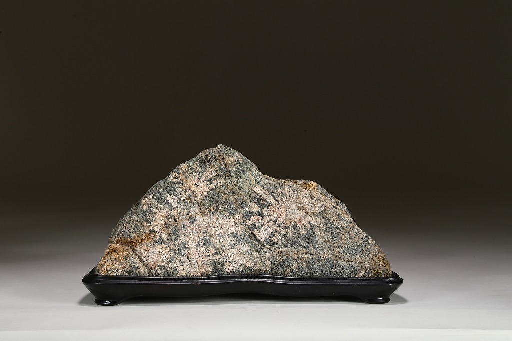 菊花石 | 雨竹亭オンラインショップ