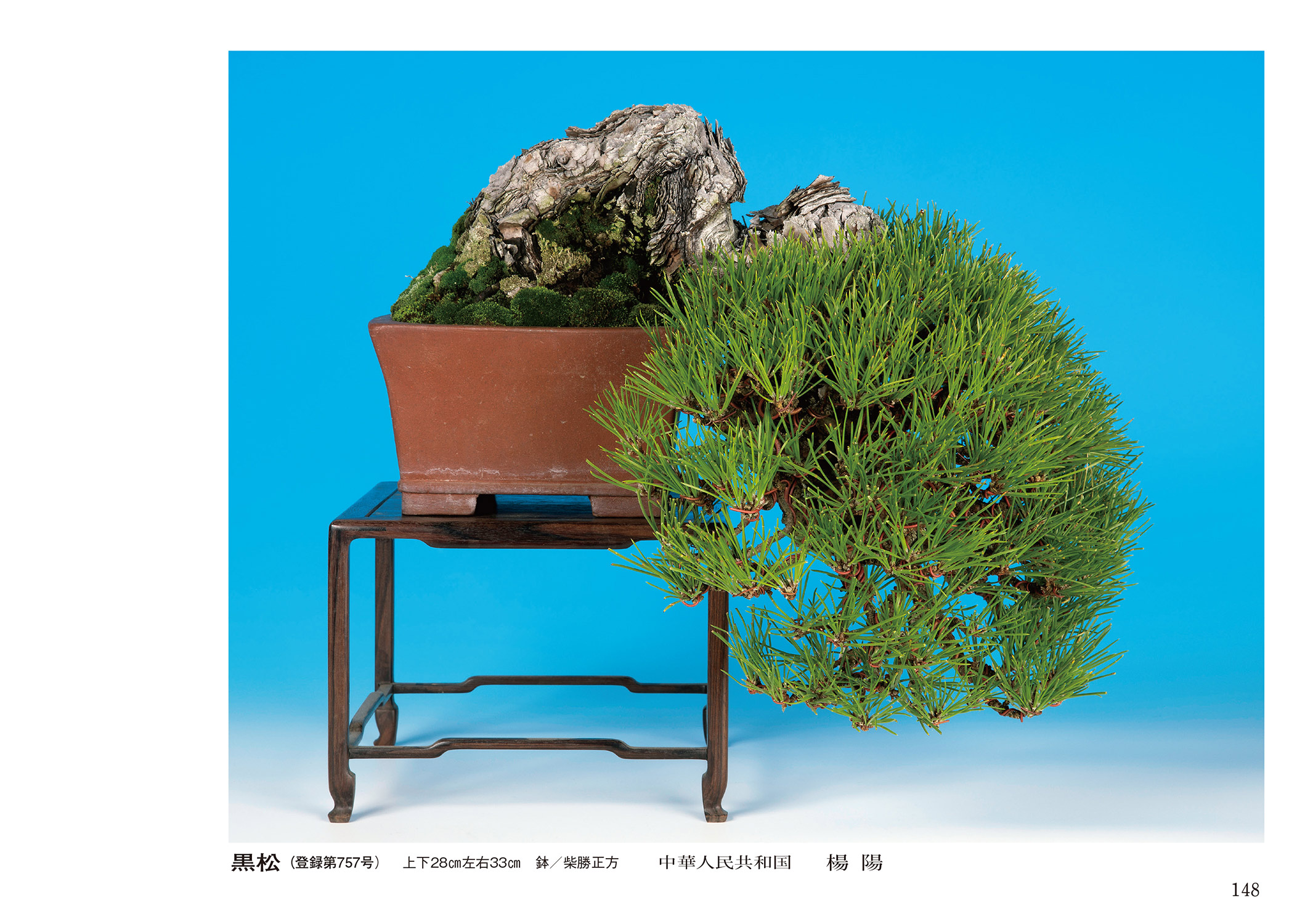 第49回 雅風展記念帖 | 盆栽、盆栽書籍、盆栽鉢の通販│近代出版