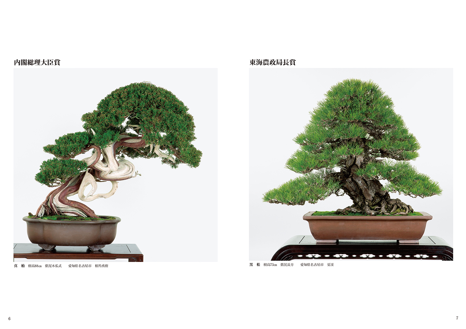 第91回 銘風盆栽展 記念帖 | 盆栽、盆栽書籍、盆栽鉢の通販│近代出版