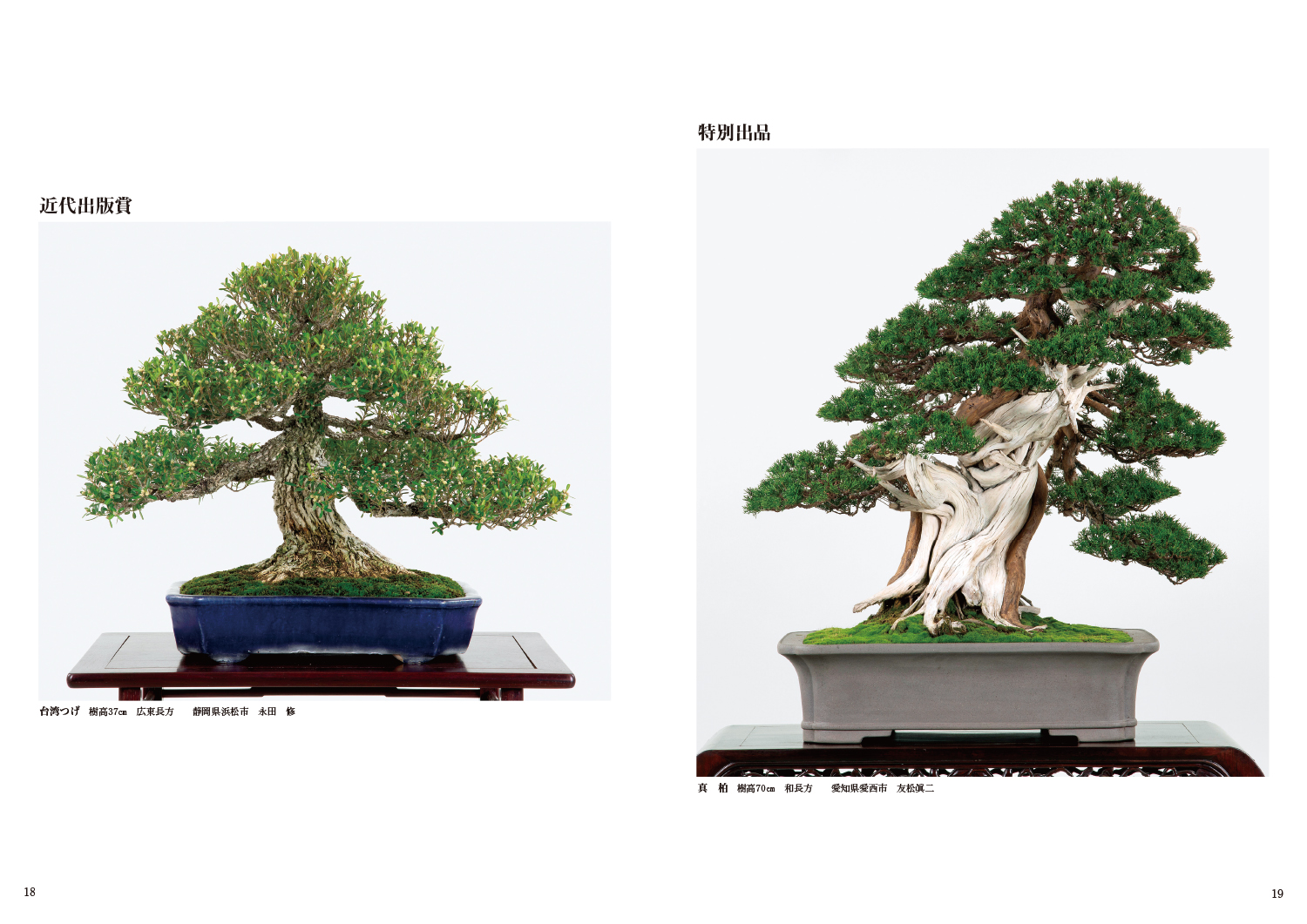 第91回 銘風盆栽展 記念帖 | 盆栽、盆栽書籍、盆栽鉢の通販│近代出版