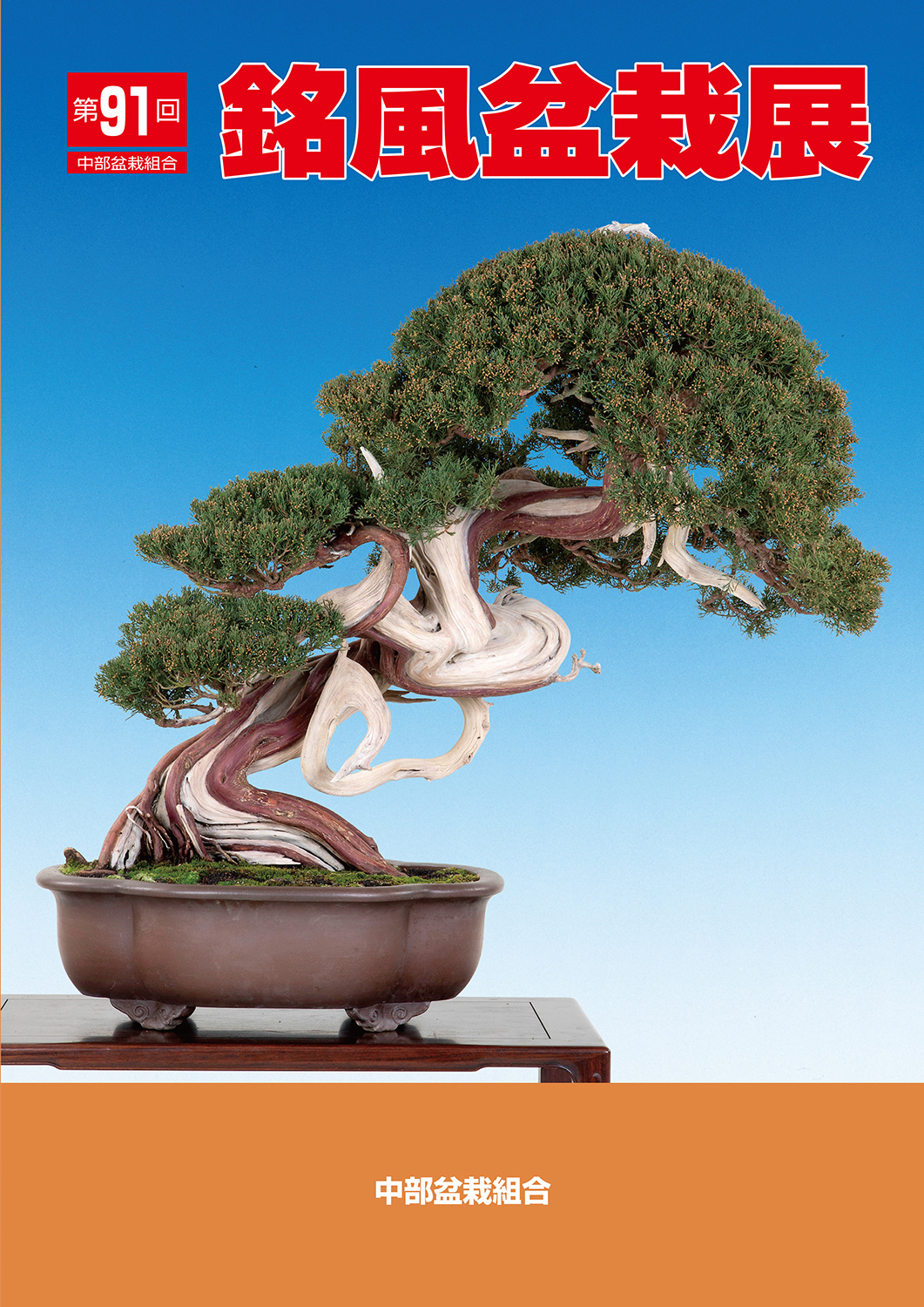 第91回 銘風盆栽展 記念帖 | 盆栽、盆栽書籍、盆栽鉢の通販│近代出版
