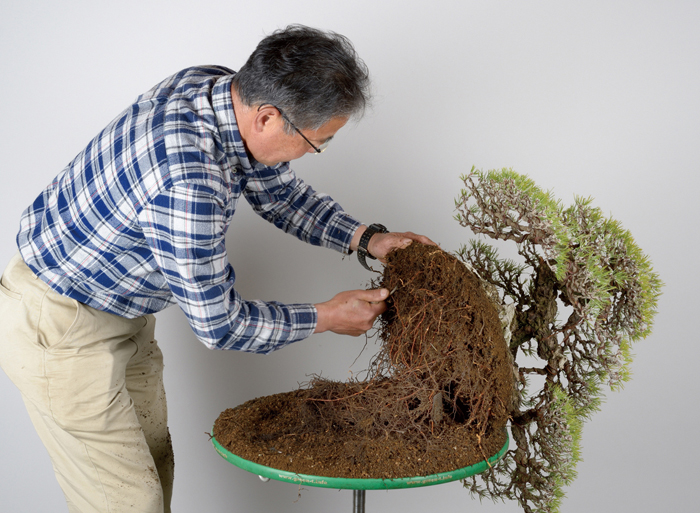 油圧式回転作業台Green-T（丸型プラス） | 盆栽、盆栽書籍、盆栽鉢の