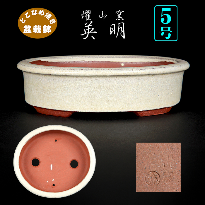 英明・燿山窯 | 盆栽、盆栽書籍、盆栽鉢の通販│近代出版