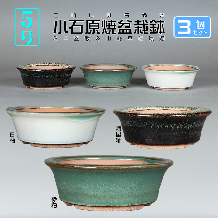 お得なセット鉢 | 盆栽、盆栽書籍、盆栽鉢の通販│近代出版