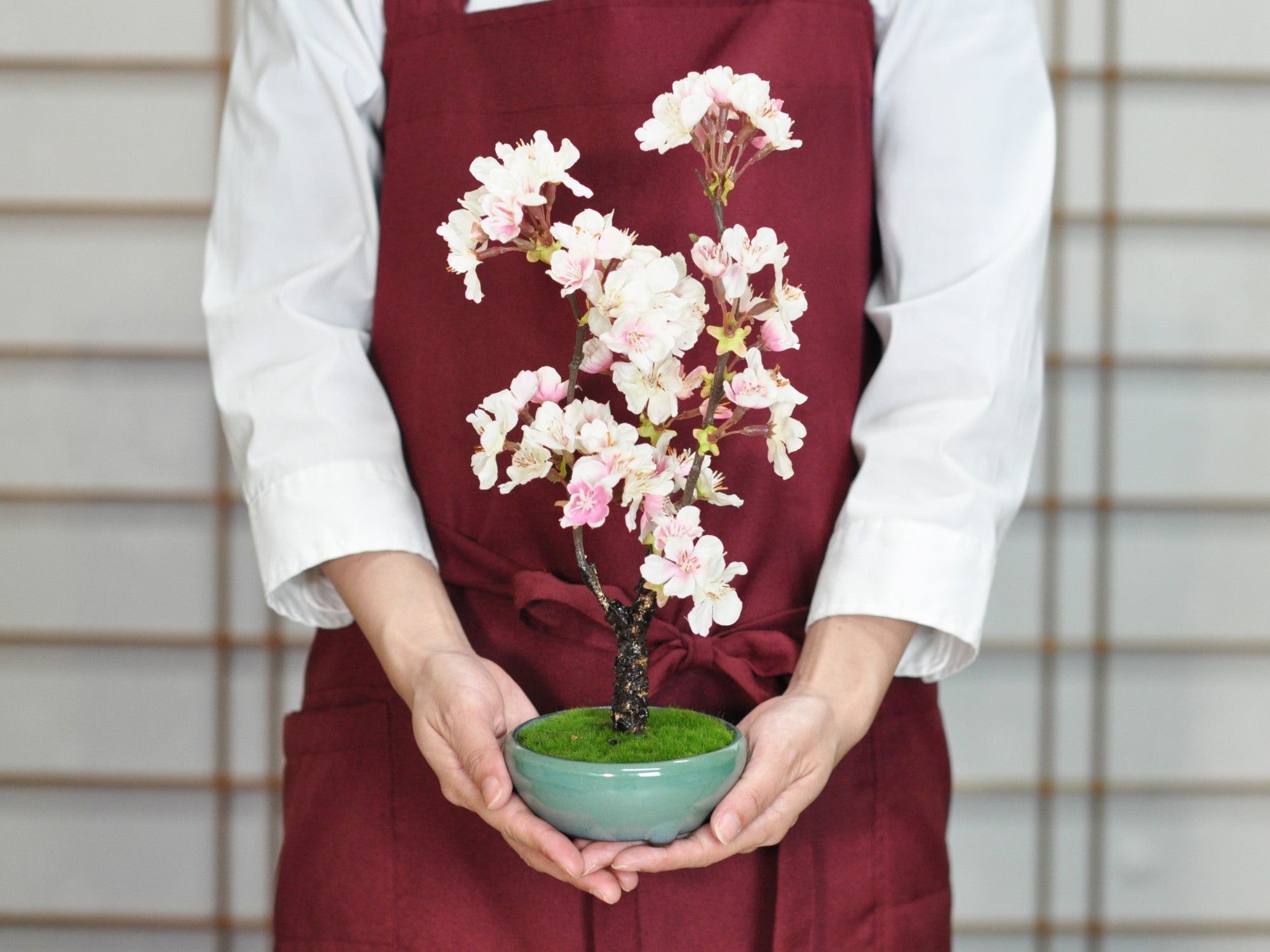 造花盆栽 桜の販売｜盆栽妙 – 盆栽妙 本店