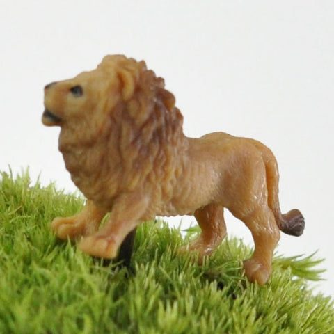 アニマルピック ライオンの販売｜盆栽妙 – 盆栽妙 本店