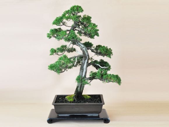 3218_1.jpg?v=1700710442&width=1946