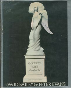 GOODBYE BABY & AMEN: A Saraband for the Sixties / David Bailey