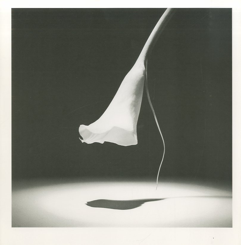 ロバート・メイプルソープ写真集 / ロバート・メイプルソープ | 小宮山