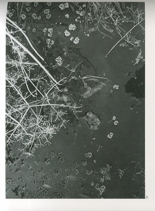 河 累影 / 写真：森永純 文：ユージン・スミス / 松岡正剛 / 谷川晃一