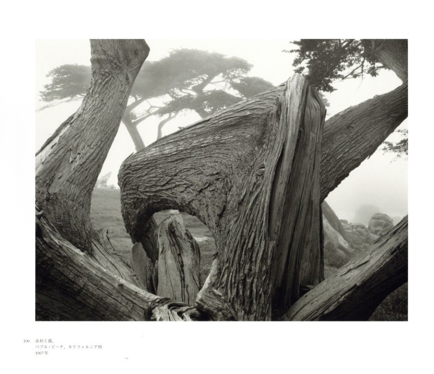 生誕100年記念 アンセル・アダムズ写真集成 / 写真：アンセル