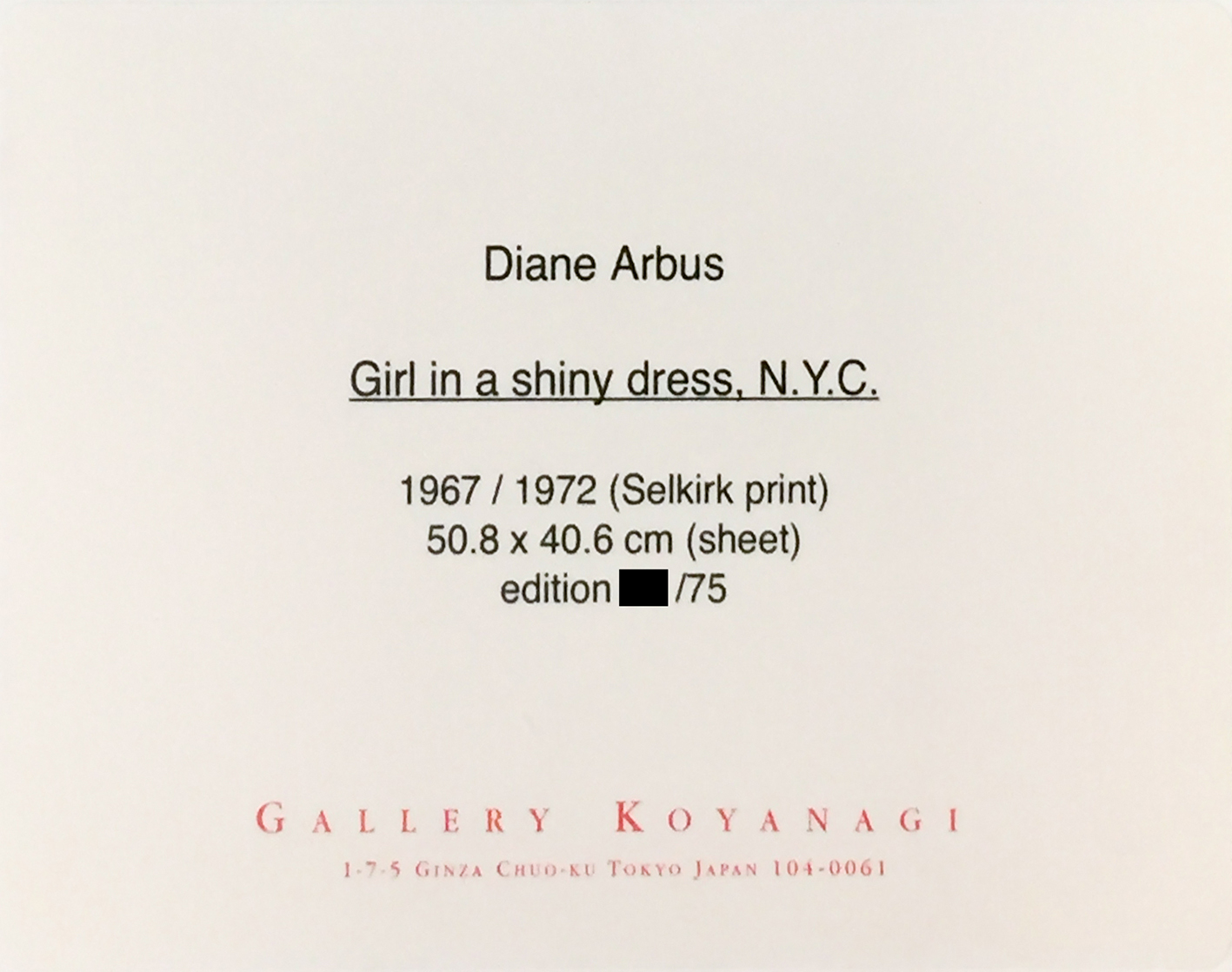 Girl in a shiny dress, N.Y.C.【ドーン・アーバス サイン入