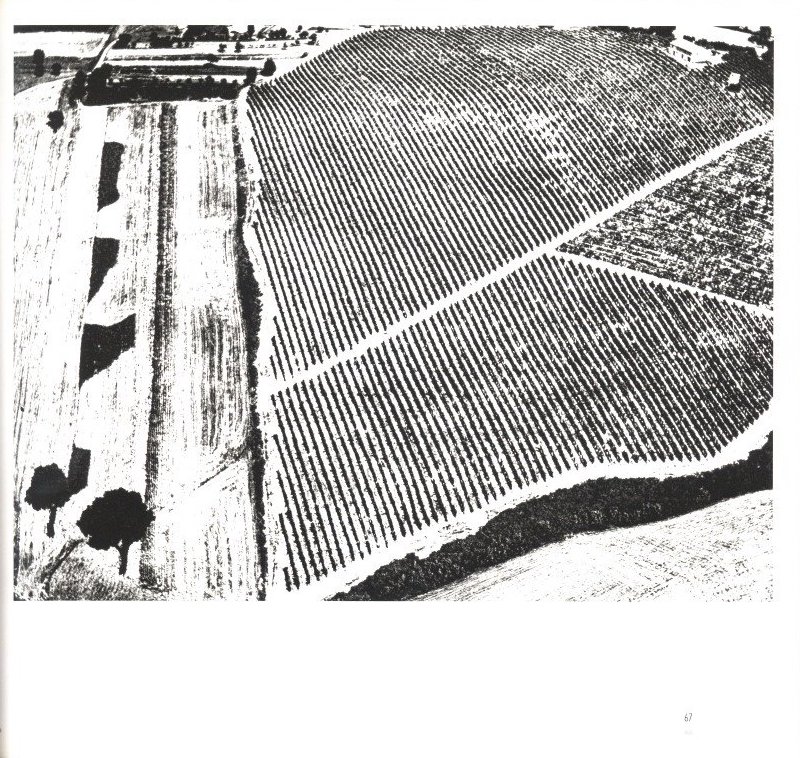 MARIO GIACOMELLI 黒と白の往還の果てに / 著：マリオ・ジャコメッリ