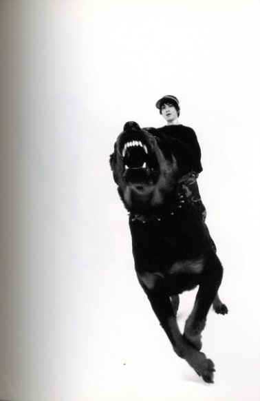 モータードライヴ / 平間至 | 小宮山書店 KOMIYAMA TOKYO | 神保町