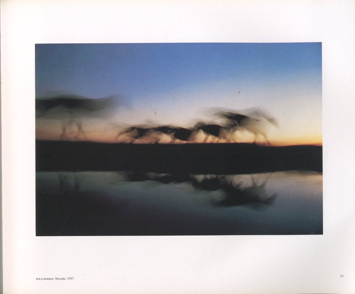 COLOR PHOTOGRAPHY / Ernst Haas | 小宮山書店 KOMIYAMA TOKYO