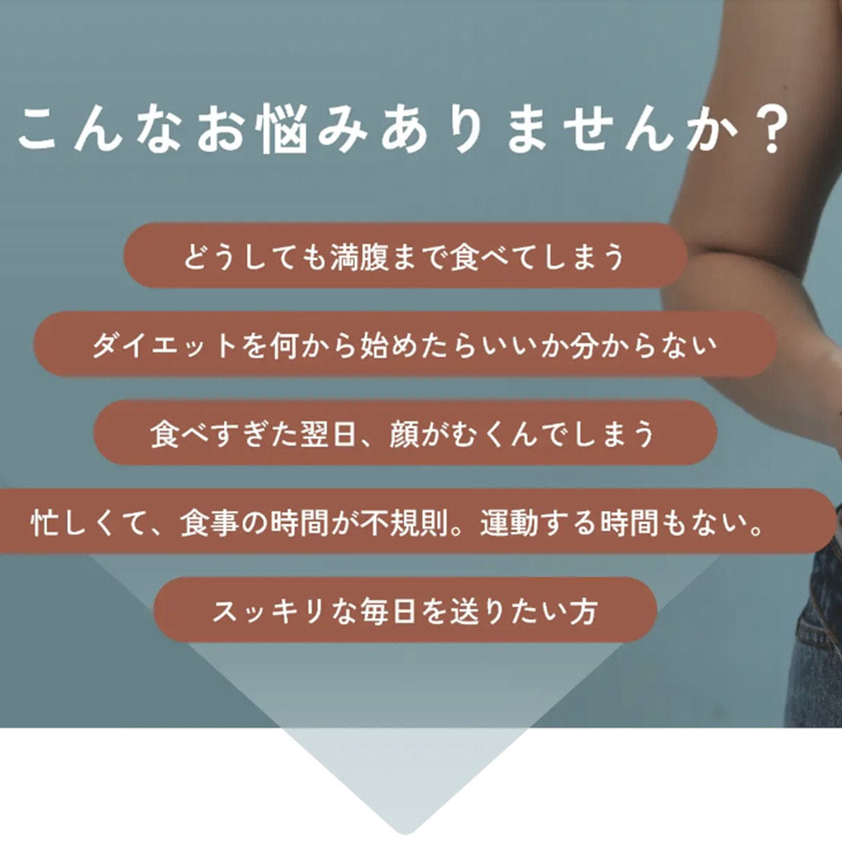 スリムレイ カッティー12箱・バーニー12箱 15g×30包 24箱セットの卸