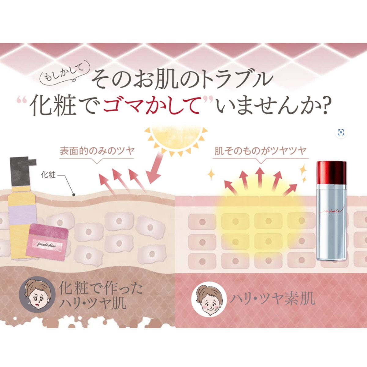 お試し用】エニシー ルフェルクリーム 30g の卸・通販 | ビューティ