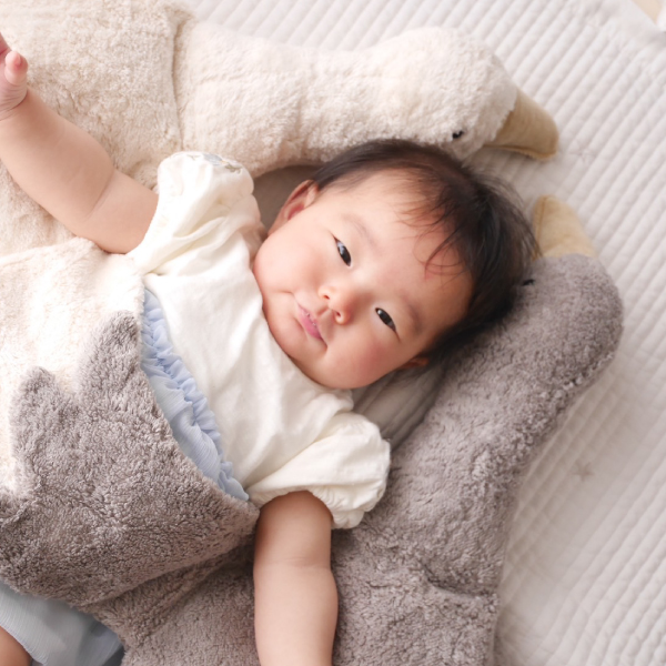 SENGER Naturwelt-ゼンガーナチュウェルト】グース グレー（Cuddly