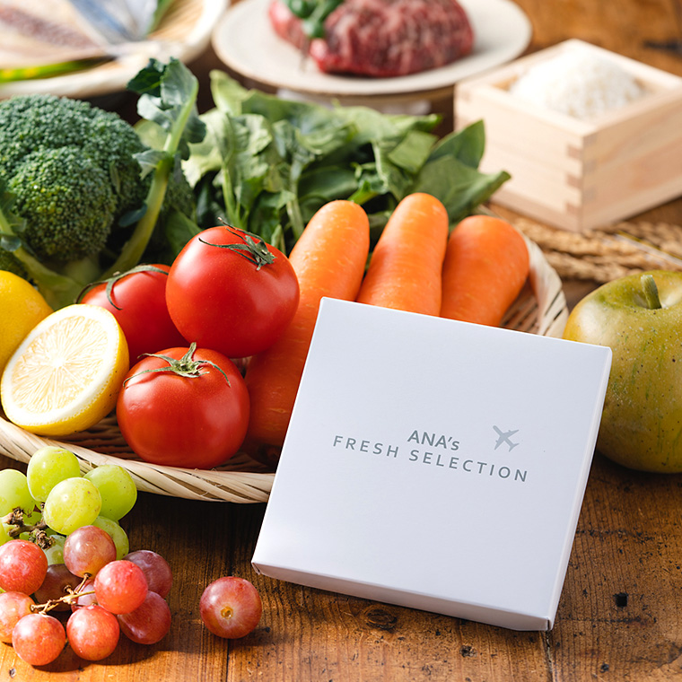 ANA's FRESH SELECTION フレッシュセレクション カードカタログ C