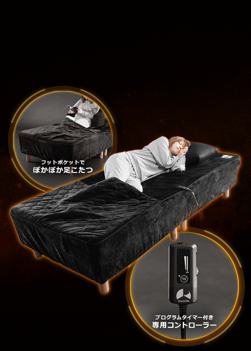 ボックス電気毛布 BEB-100S / 120SD / 140D | Bauhütte®