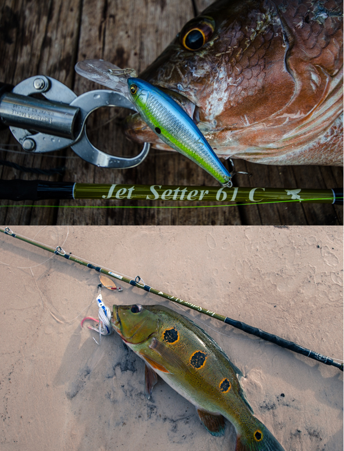 ジェットスロウ×ツララ ジェットセッター 61C JetSlow × TULALA