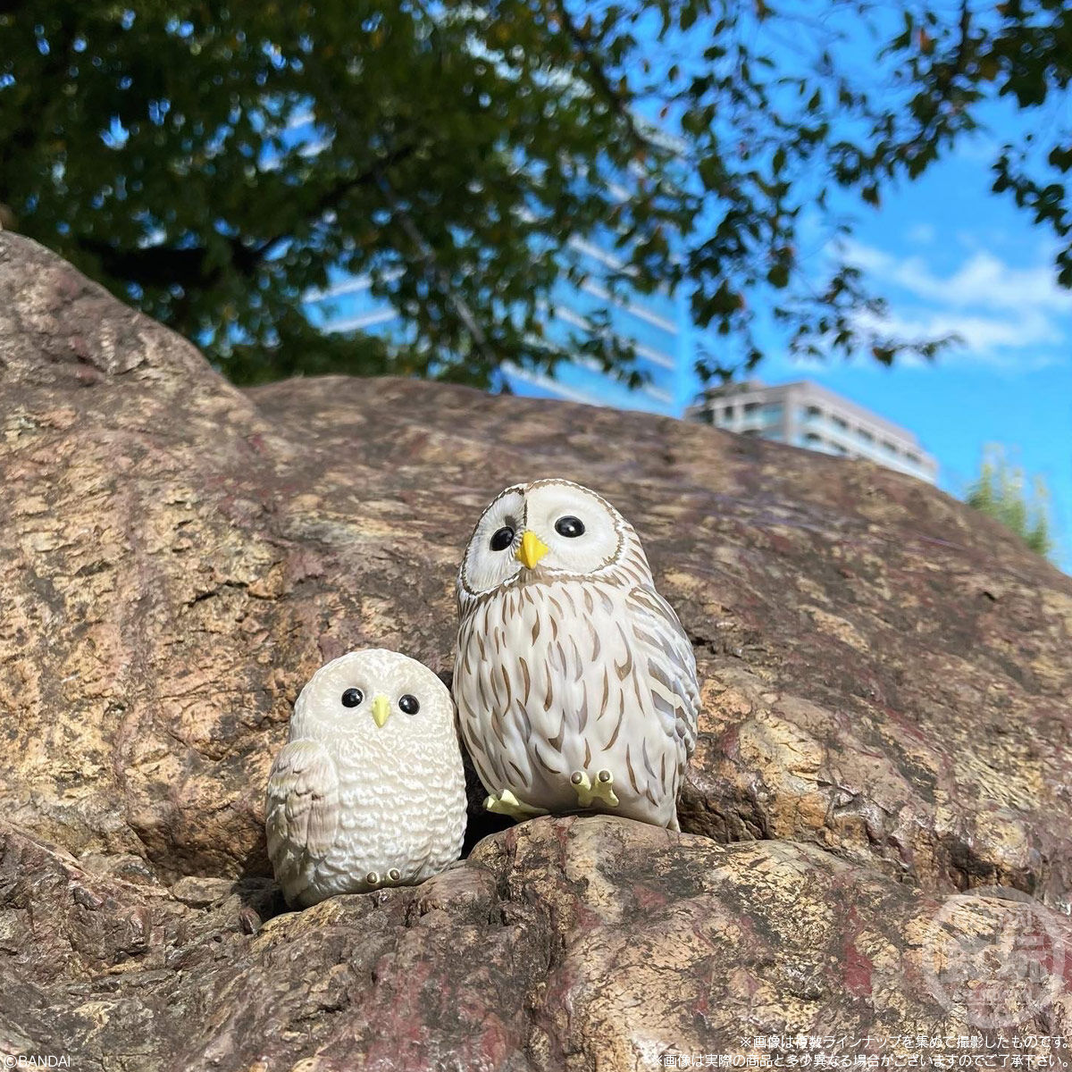 てのりフレンズ7｜発売日：2022年12月5日｜バンダイ キャンディ公式サイト