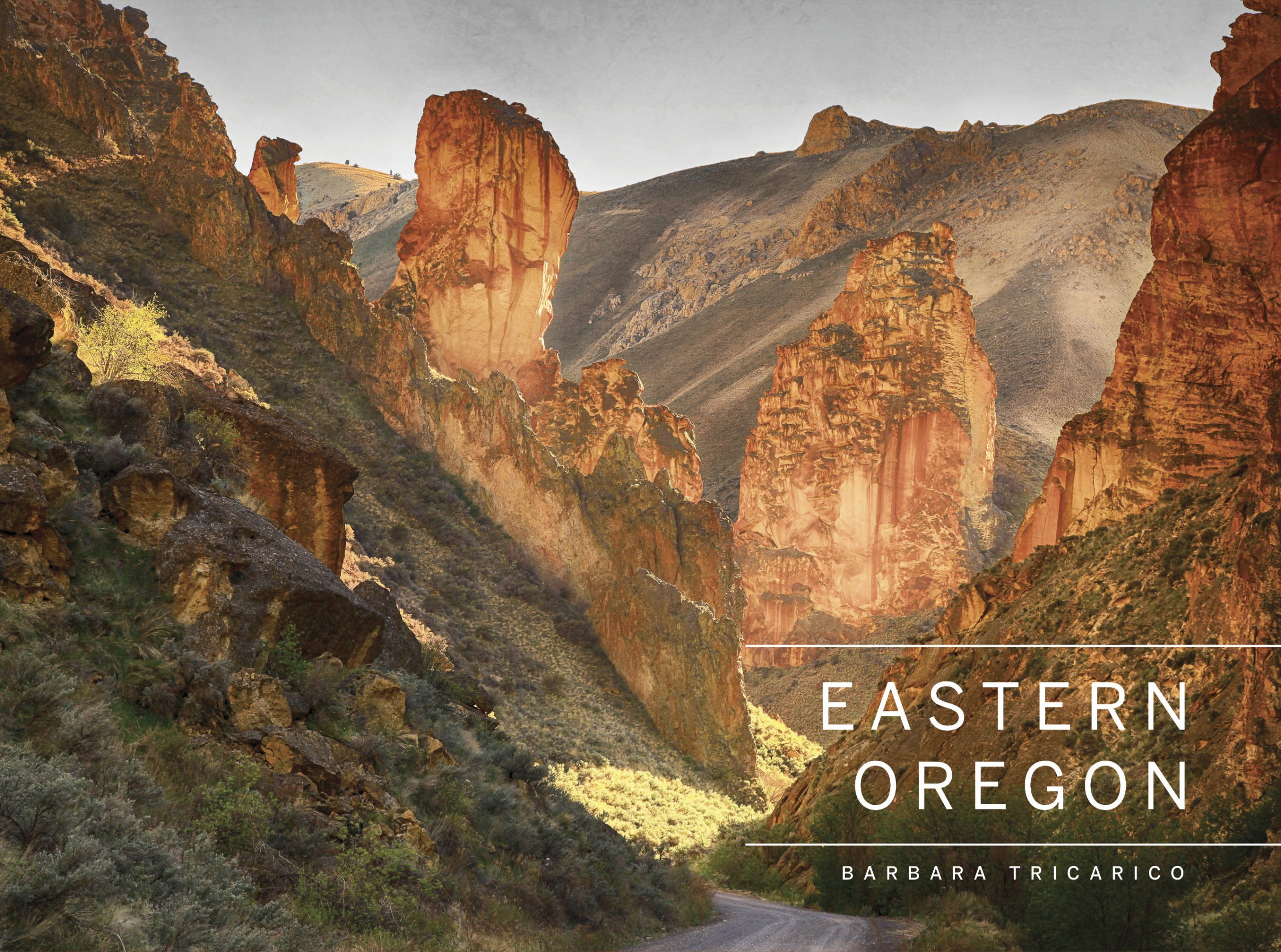 Eastern Oregon by Barbara Tricarico Photography