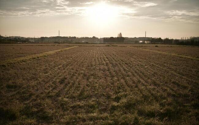 村を育てる学力｜ビジネス香川