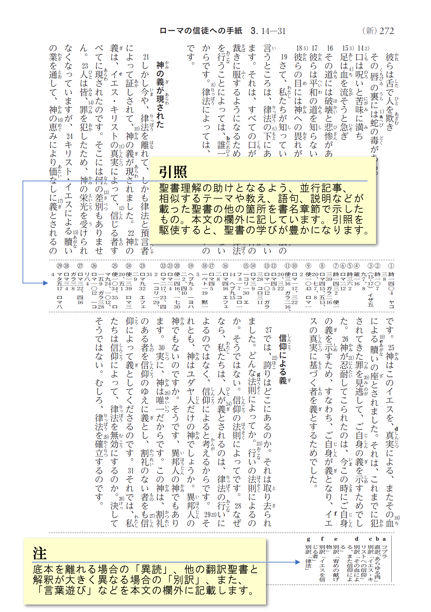 聖書 聖書協会共同訳 引照・注付き大型判 SIO53／SIO53DC - 日本聖書